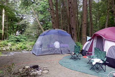 Russell Brook Campsites Tent Site