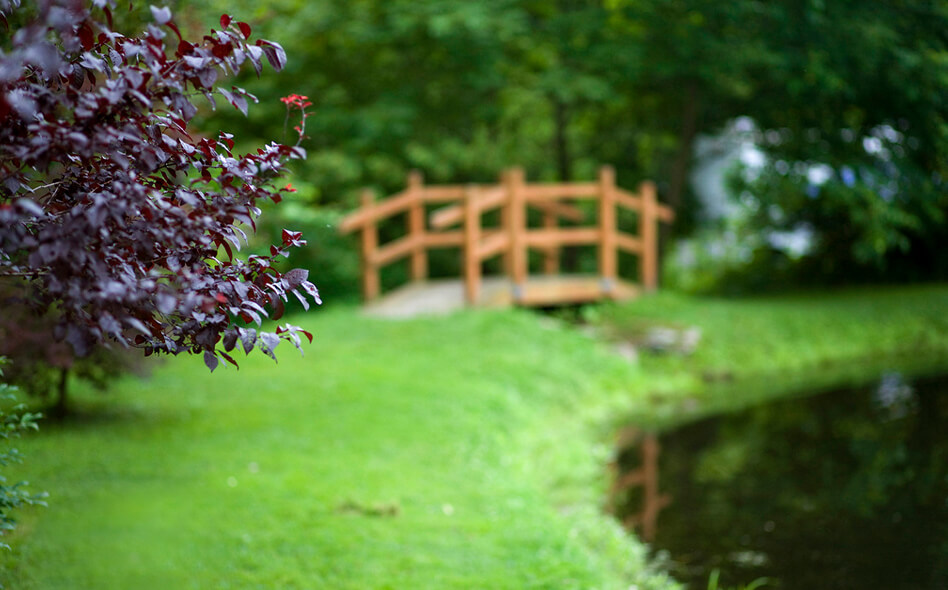 Russell Brook Campsites Peaceful Bridge